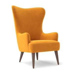 Comfortable Stylish Armchair